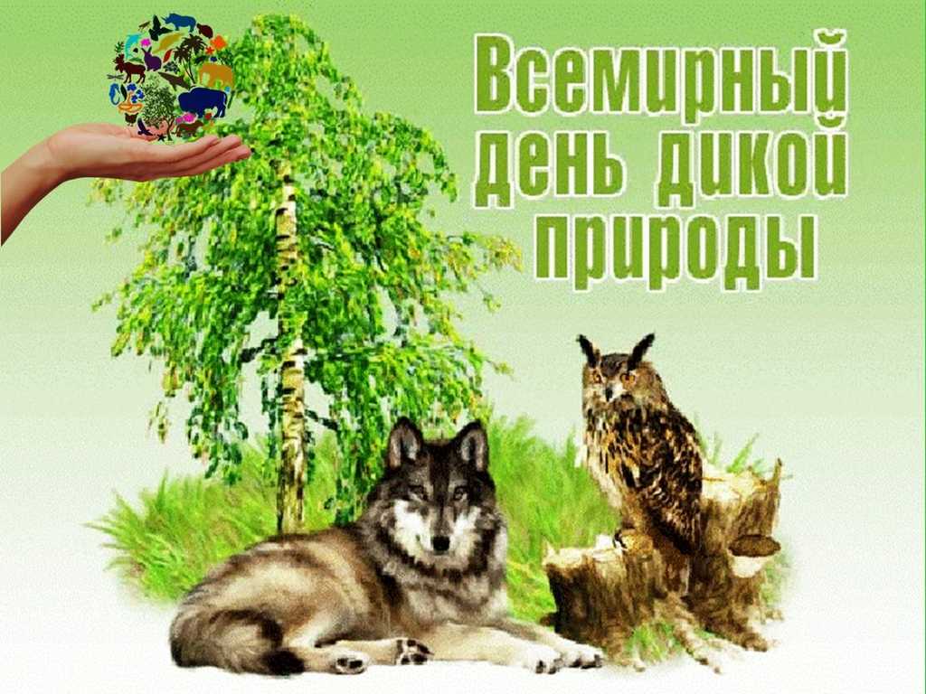 3 марта отмечается Всемирный день дикой природы